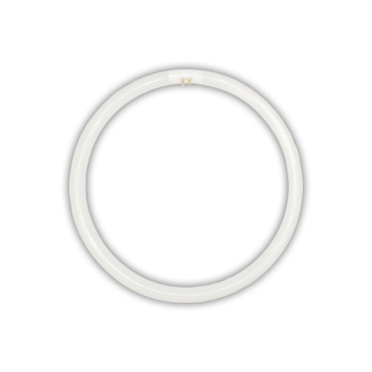 T5 Circular Tube Fluorescent