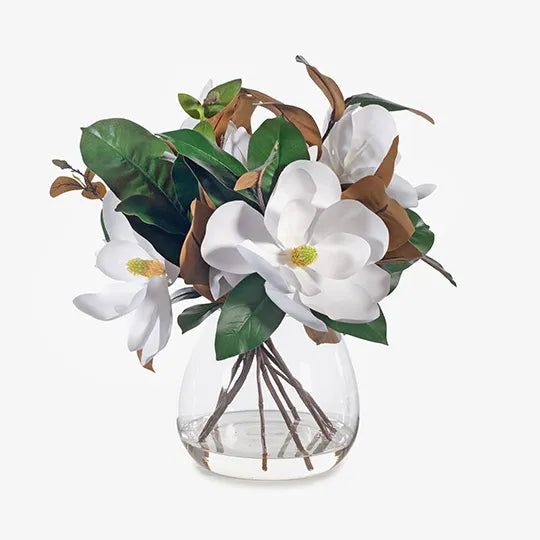 Magnolia Grandiflora Mix in Vase - FI7486WH