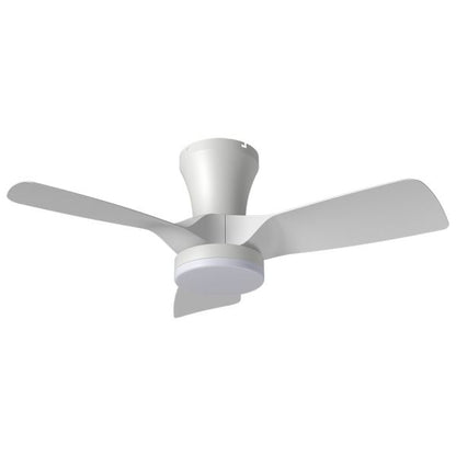 Kiwi 32" DC Ceiling Fan